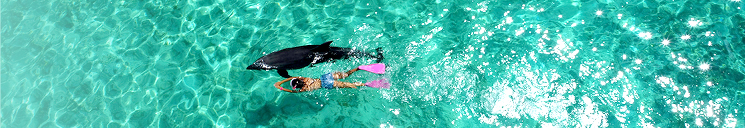 ABOUT HPD CORPORATION